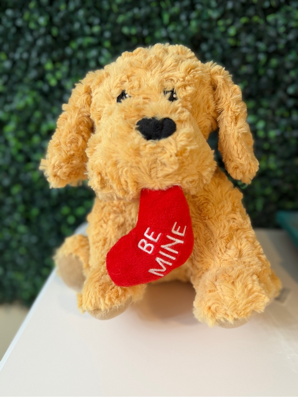 Warmies Puppy Be Mine limited edition (NEW) Lavender Scented